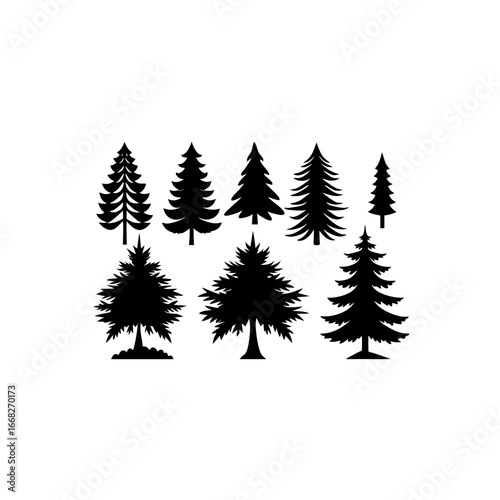 8 different boreal taiga forest tree silhouette 