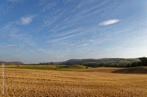 The rolling fields and Countryside north of Edzell, with recently harvested Barley Fields catching the Early morning Golden sun.