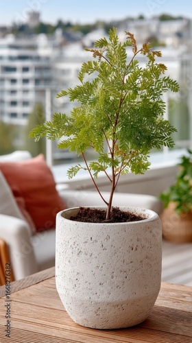 Close Up of a Green Tree Seedling in a Speckled White Biodegradable Pot on a Balcony with a City View