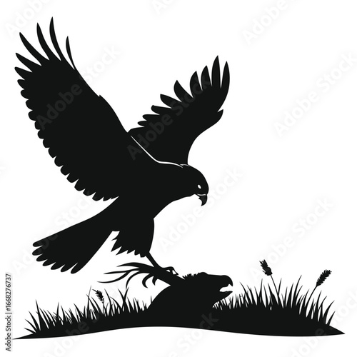Falcon hovering above prey silhouette