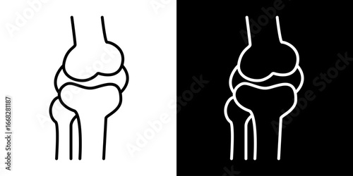 Human Knee Joint Anatomy Line Art Icon  Illustration