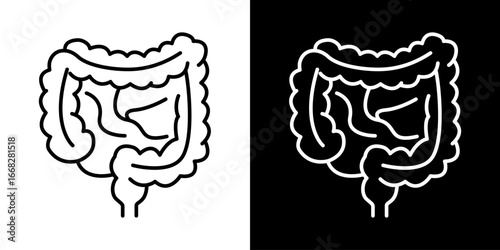 Outline of the Human Colon Anatomy Icon Vector Graphic for Medical or Educational Use
