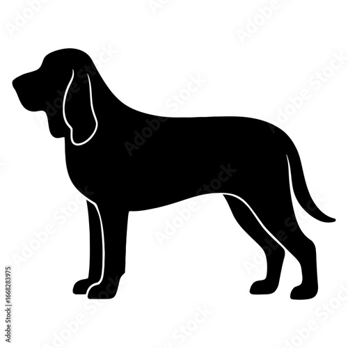 Silhouette of large hound dog with long droopy ears and tail on white background
