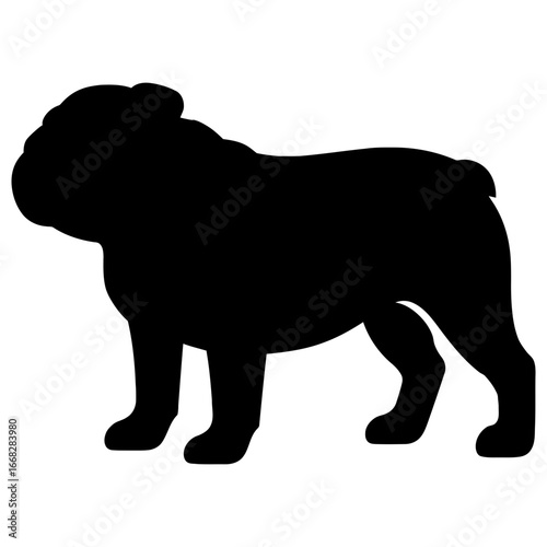 Silhouette of stocky bulldog with wrinkled face and short tail on white background