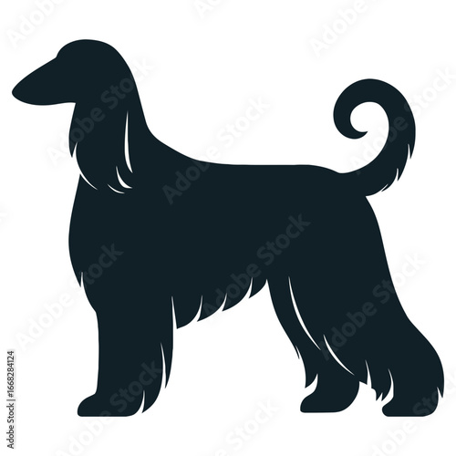 Afghan Hound dog silhouette with long flowing coat and curled tail isolated on white