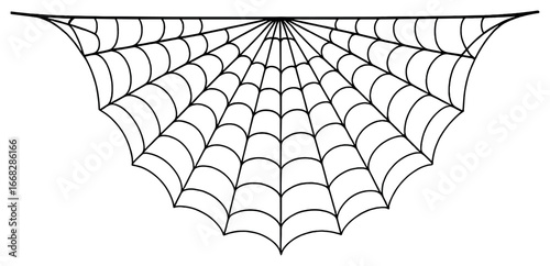 Spider web vector: elegant spidersilk design for halloween décor and creative projects