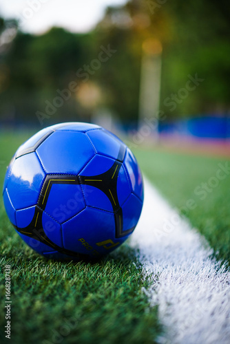 soccer football ball on grass