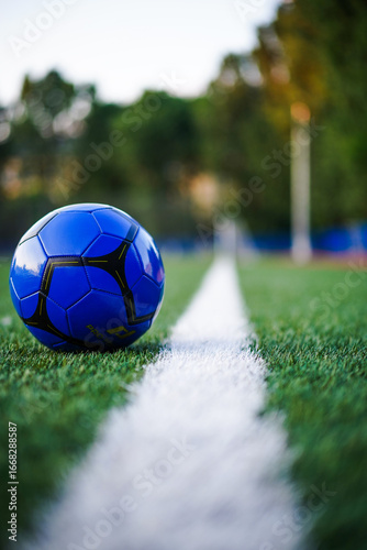soccer football ball on grass