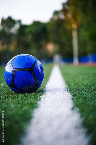 soccer football ball on grass