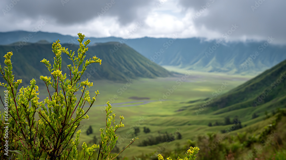 Fototapeta premium Top-down aerial view of serene Bromo Volcano landscape with Close-up macro plant