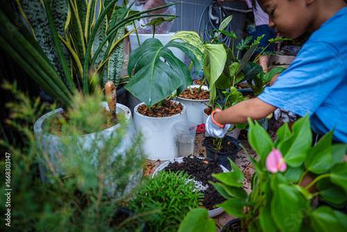 Foto Little school boy planting monsterra plantation in living room