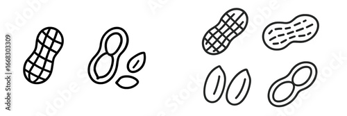 Vector illustration of peanuts and seeds in various styles