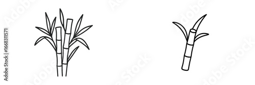 Stylized vector illustration of sugarcane plant in black and white