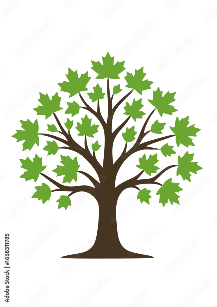 Obraz premium Minimalist Maple Tree