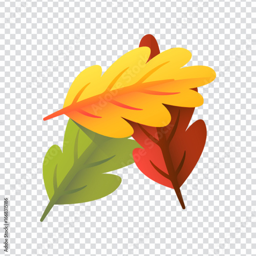Natural Leaves Organic