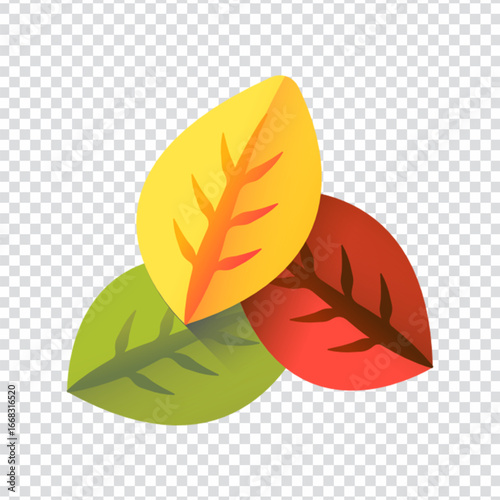 Botanical Leaves Study