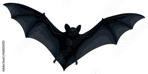 Bat vector art: graceful nocturnal creature in flight - perfect for halloween designs