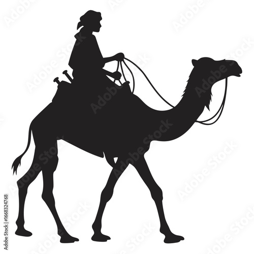 Camel kneeling for rider silhouette