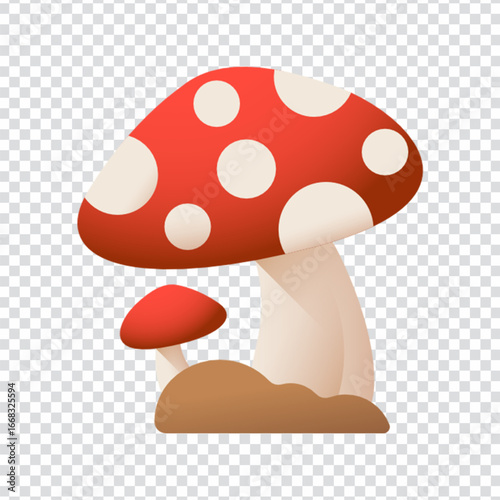 Fresh Mushroom Organic