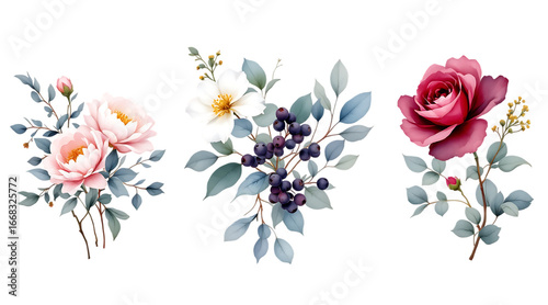 Watercolor floral bouquets with pink, white and maroon roses and blue berries isolated on transparent background

