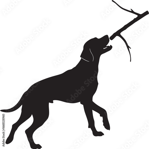 Dog catching stick silhouette