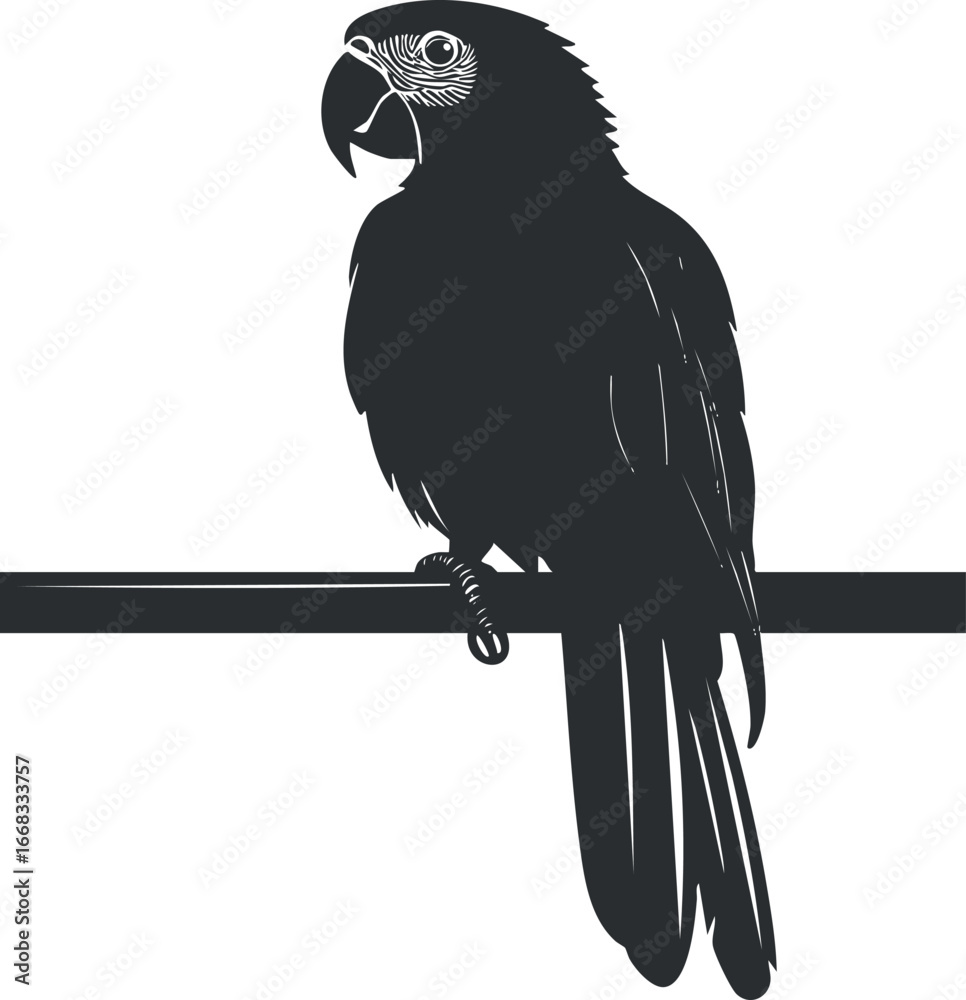 Fototapeta premium Silhouette of a parrot perched on a branch in a simple black and white vector style illustration