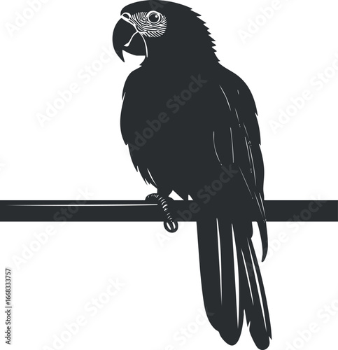 Silhouette of a parrot perched on a branch in a simple black and white vector style illustration