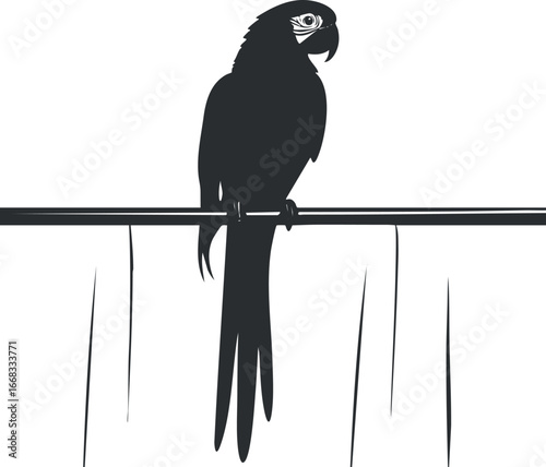 Silhouette of a parrot perched on a branch with detailed feathers and beak in black and white