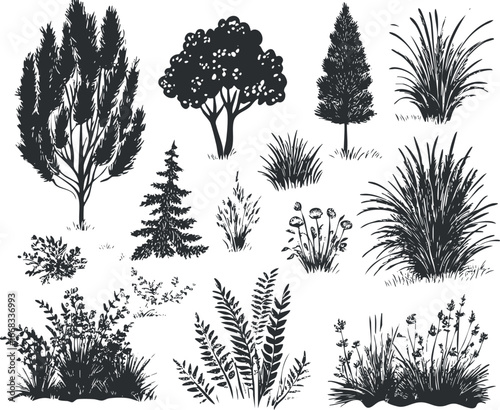 Black and white silhouettes of various bushes, trees, grasses, and plants isolated on white background.