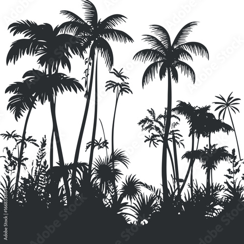 Black silhouette of tropical palm trees and jungle foliage with dense vegetation and leaves
