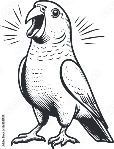 Black and white illustration of a singing parrot bird with detailed feathers and open beak