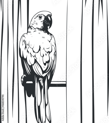 Black and white illustration of a parrot perched on a branch showing detailed feathers and beak