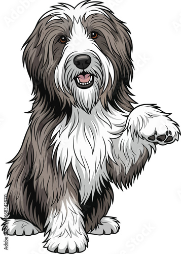 Bearded Collie dog raising paw cute vector illustration