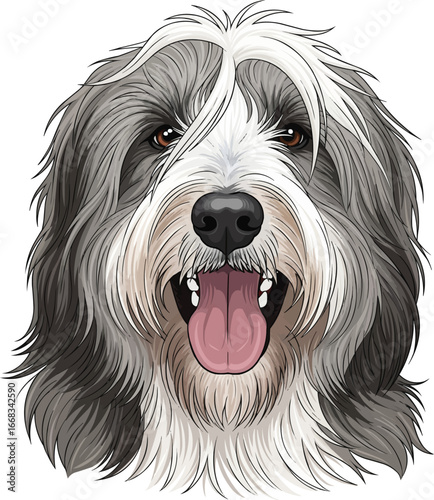 Bearded Collie dog happy face front view portrait illustration