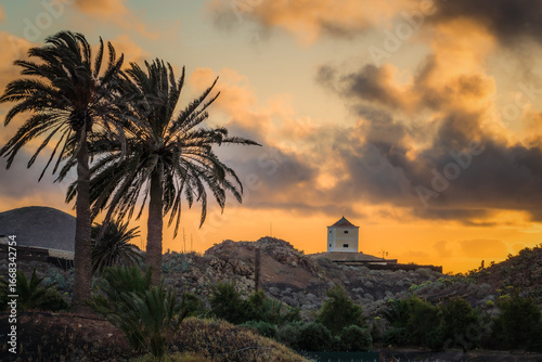 Palm trees and old windmill at sunset in canary islands landscape