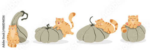 A charming set of illustrations featuring cute ginger cats interacting with various grey pumpkins and gourds. Ideal for autumn, Halloween, and Thanksgiving designs, as pet and seasonal projects.