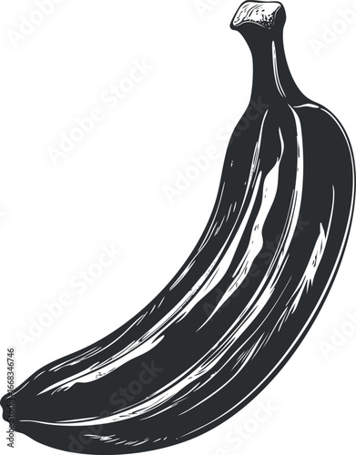Black and white hand drawn illustration of a single ripe banana isolated on white background