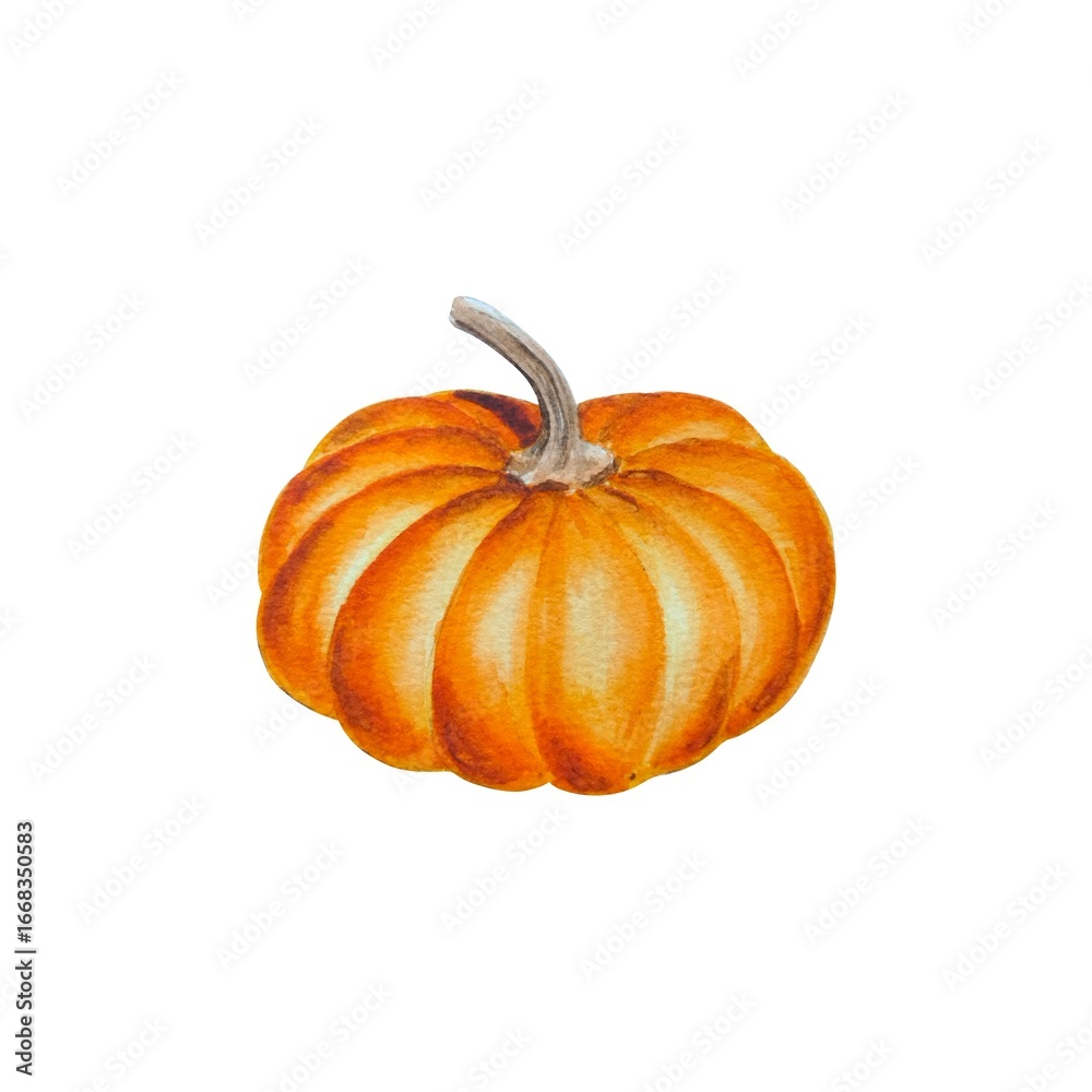 Obraz premium Watercolor illustration orange pumpkin isolated on white background hand drawn.