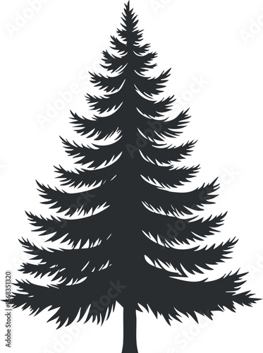 Silhouette of a fir tree with detailed branches and needles isolated on a white background