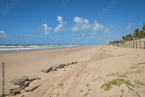 Wallpaper Mural Praia com coqueiros e ondas Torontodigital.ca
