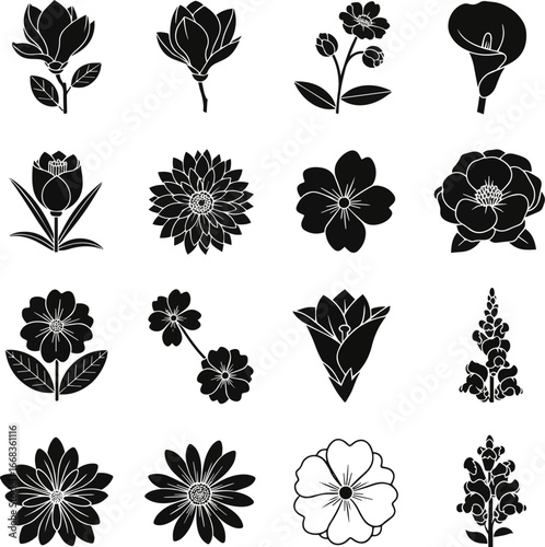 Isolated a Flower and botanical icon set. Vector glyph pictograms of magnolia, dahlia, calla lily, primrose, snapdragon, nature, garden, and floral decoration concept vector art silhouette .
