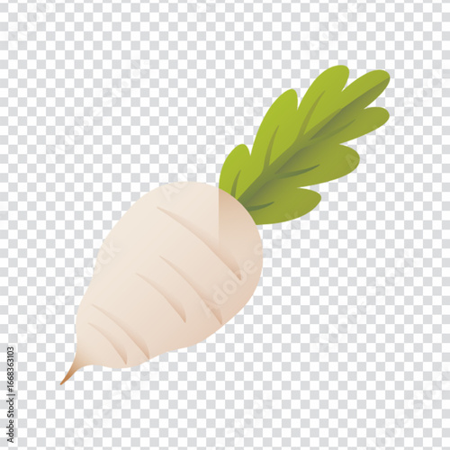 Fresh Turnip Organic