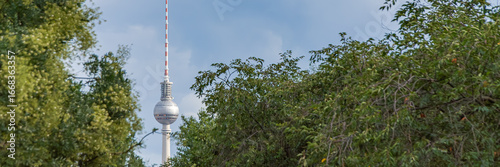 Panoramic Scene: Berlin TV Tower Behind Summer Trees