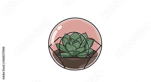 Succulent plant in terrarium illustration, home decor, indoor plants, nature, botanical art on transparent background