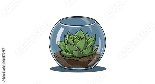 Succulent terrarium plant nature botanical garden flora glass container greenery indoor decorative design on transparent background