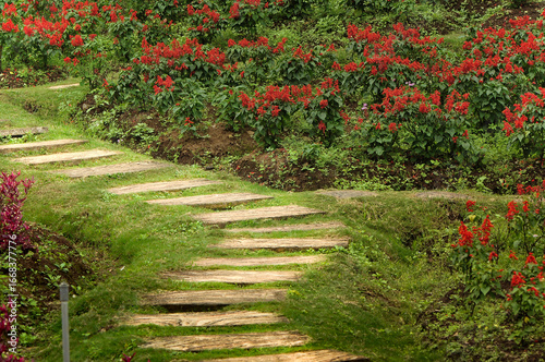 A winding wooden path ascends a gentle grassy slope, bordered by lush green foliage and vibrant bushes adorned with striking red flowers.
