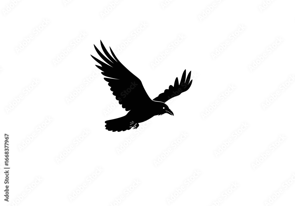 Obraz premium A black silhouette of a crow or raven is captured midflight against a stark white backdrop