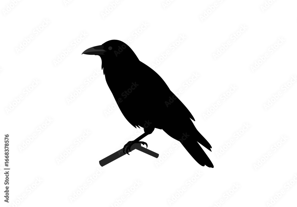 Obraz premium Black crow perches on a stick stark silhouette