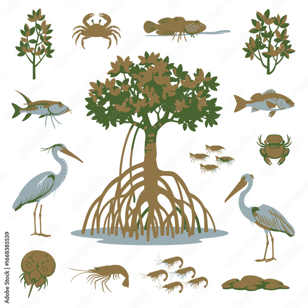 Fototapeta premium Illustrative depiction of a mangrove ecosystem, showcasing diverse flora and fauna.