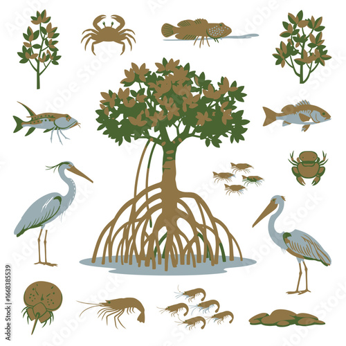 Illustrative depiction of a mangrove ecosystem, showcasing diverse flora and fauna.